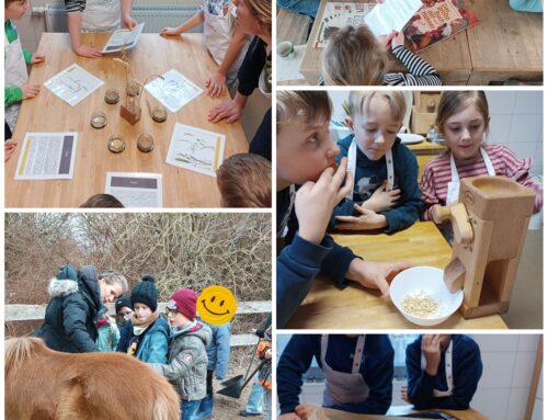 Landwerthof Stahlbrode